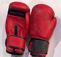 GANTS DE BOXE PAKKA