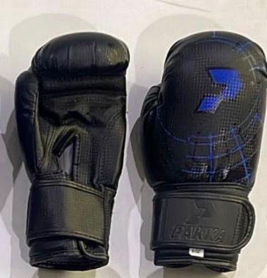 GANTS DE BOXE PAKKA