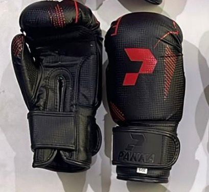 GANTS DE BOXE PAKKA